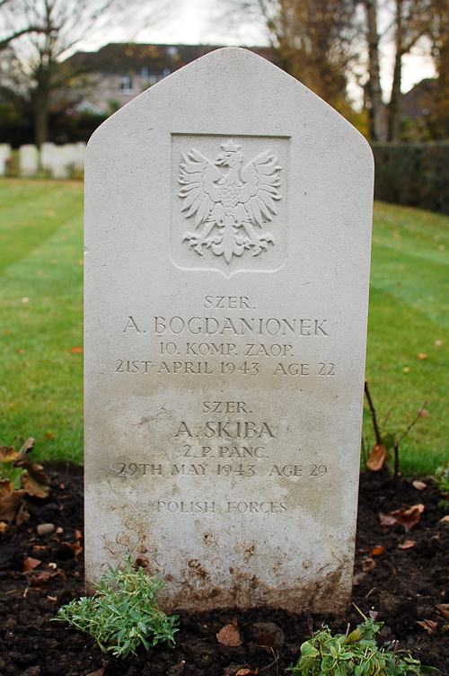 Aleksander Bogdanionek Polish War Grave