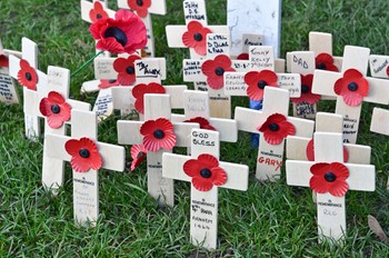 Remembrance Crosses - Garden of Remembrance Glasgow 2014