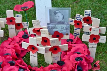 Remembrance Crosses - George Square Glasgow 2014