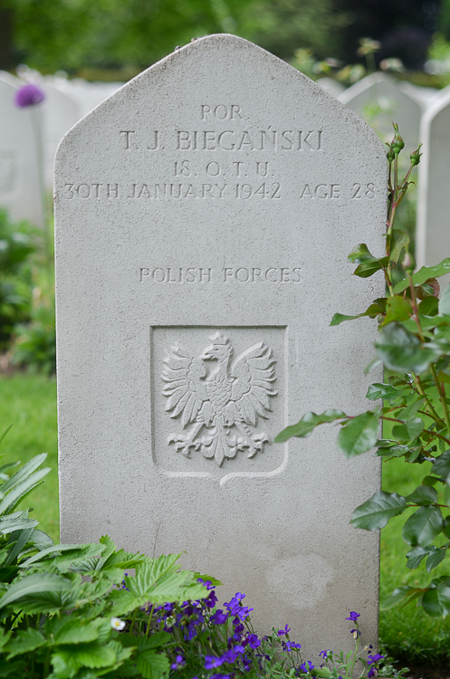 Tadeusz Jan Bieganski Polish War Grave
