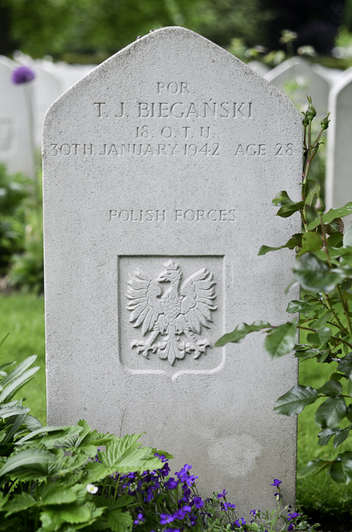 Tadeusz Jan Bieganski Polish War Grave