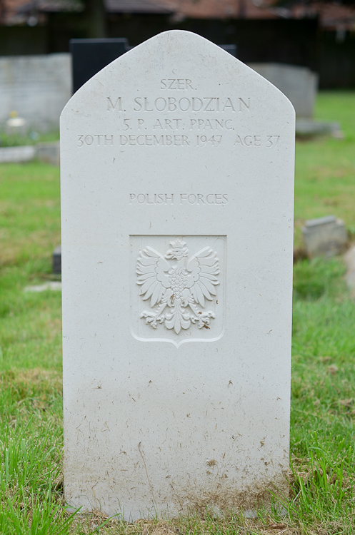 Michal Slobodzian Polish War Grave