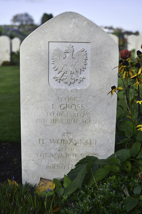 Henryk Wodzynski Polish War Grave