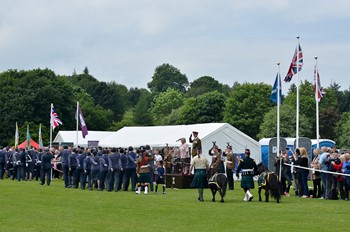 Stirling Armed Forces Day 2016 - Salute