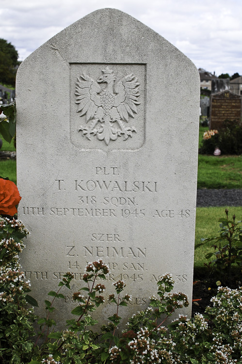 Zygmunt Neiman Polish War Grave