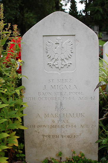 Józef Migała Polish War Grave