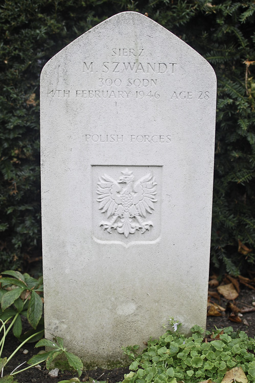 Micha Szwandt Polish War Grave