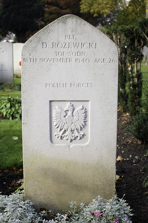 D Rozewicki Polish War Grave