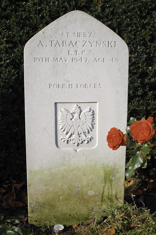 Antoni Tabaczynski Polish War Grave