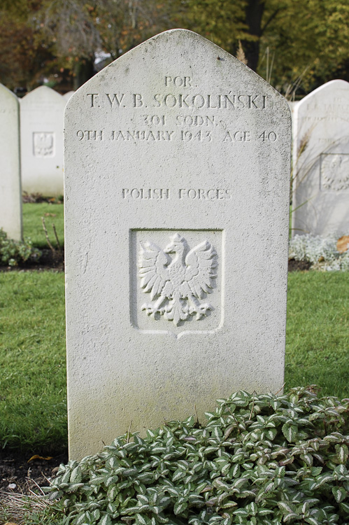 Tadeusz Sokolinski Polish War Grave