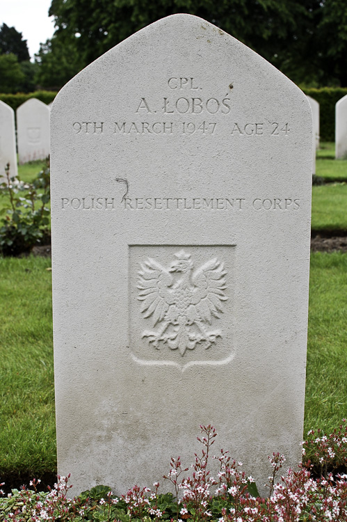 Alfred Lobos Polish War Grave