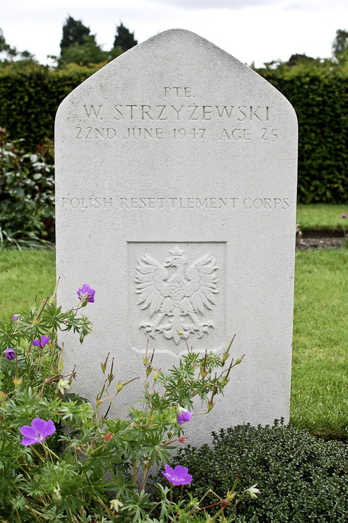 W Strzyzewski Polish War Grave