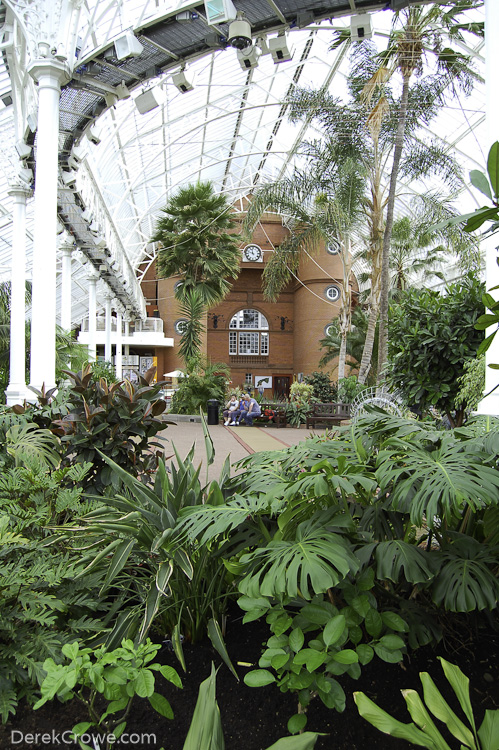 Winter Gardens - Victorian Glasshouse, Glasgow Green, Scotland