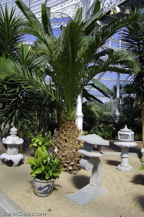 Winter Gardens Glasshouse, Glasgow, Scotland