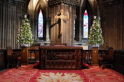 Glasgow Cathedral Christmas Trees 2009 (Scotland)